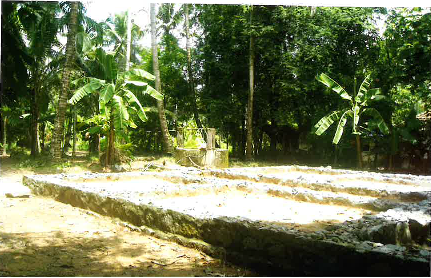 course